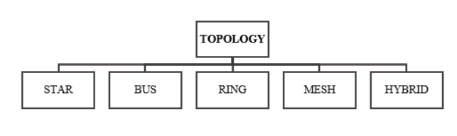 Network Topology Classification